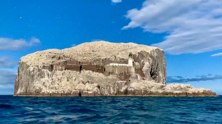 Bass Rock, a Scottish island covered in seabirds, with a lighthouse and buildings.