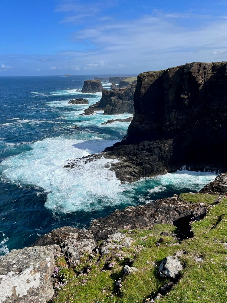 Dramatic cliffs of Mainland, Shetland, with crashing waves and wildflowers. Shetland Wildlife.