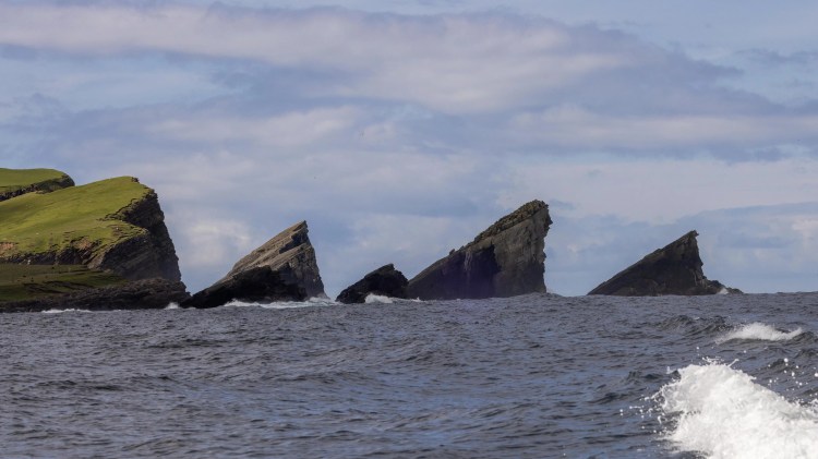 Foula sea stacks, part of Shetland Wildlife, rise from the ocean under a cloudy sky.