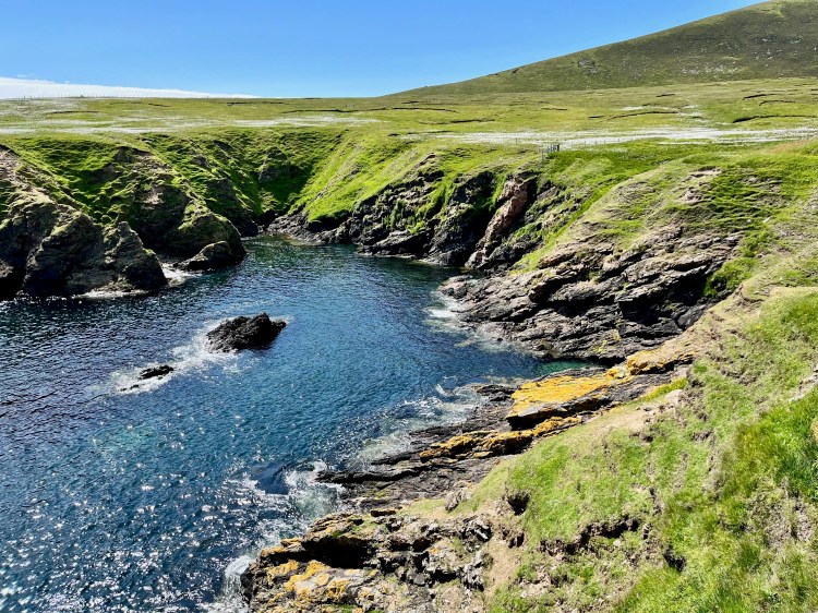 Foula's rugged coastline: Green cliffs meet the blue sea in Shetland Wildlife Part 2.