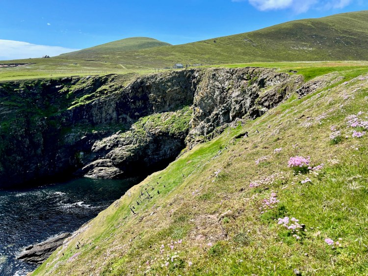 Foula's rugged coastline, Shetland Islands, featuring green hills, cliffs, and the North Atlantic ocean.