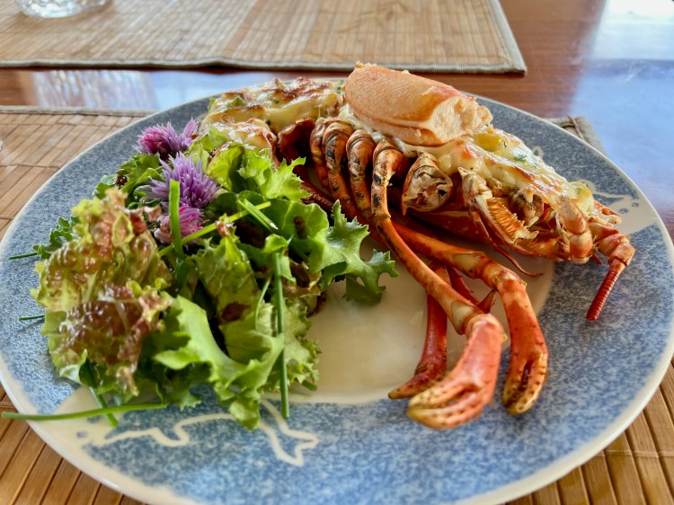 Grilled lobster with fresh green salad and purple chive blossoms on a blue patterned plate.