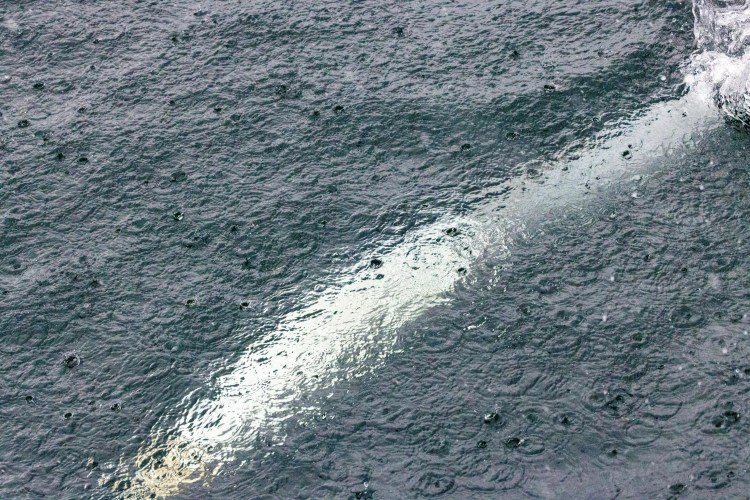 Raindrops on water with a bright reflection, possibly taken on the Shetland Islands.
