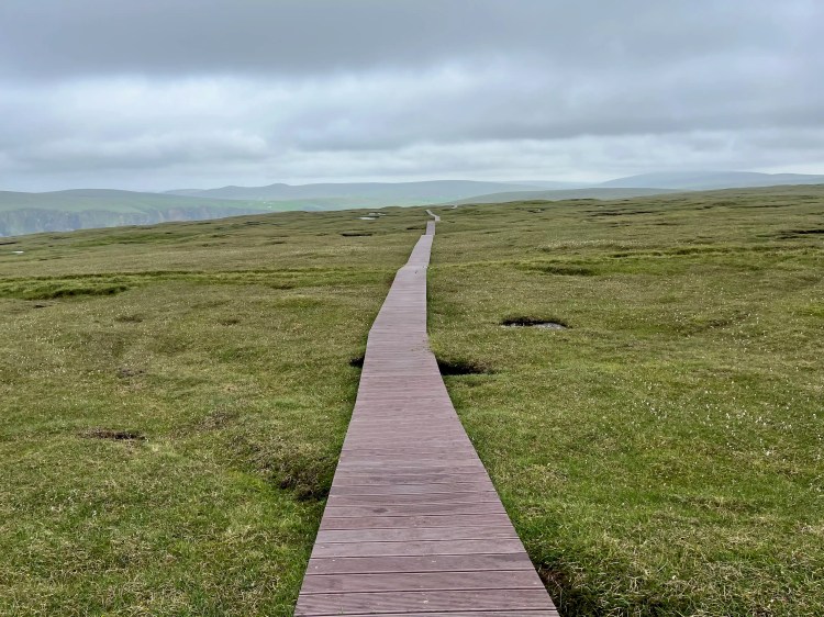 Wooden boardwalk path through green landscape in the North Isles, Shetland. Cloudy sky.