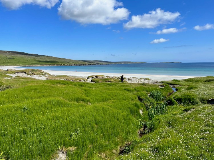 Shetland beach scene with green meadows, white sand, turquoise water, and blue sky.