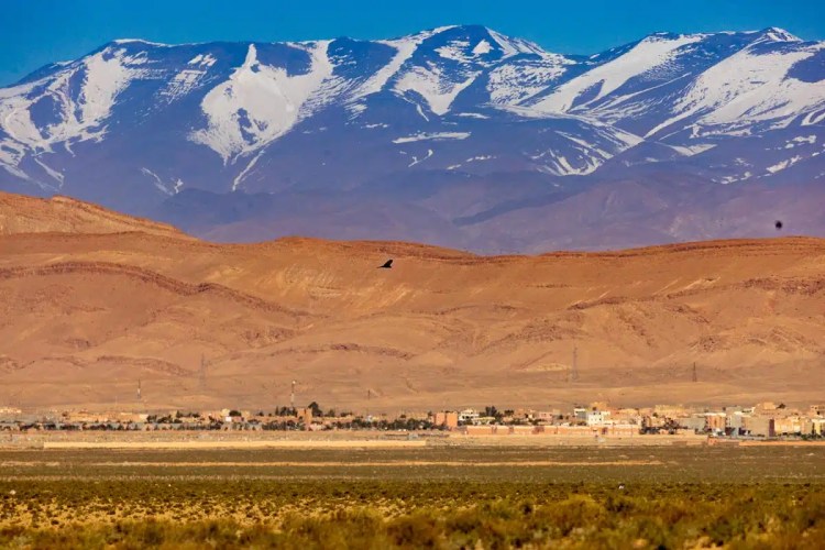 Moroccan landscape with a bird flying over desert hills and a town, snow-capped Atlas Mountains in the background.