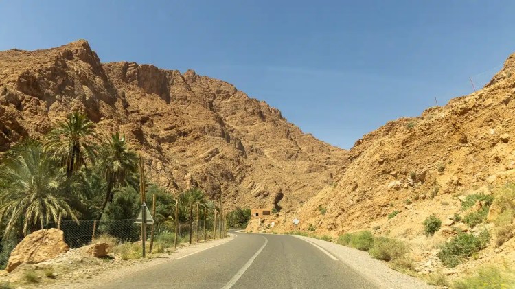Road through Todra Gorge, Morocco, with palm trees and towering rock formations.