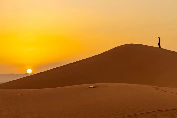 Person silhouetted on a sand dune at sunset in Morocco, birding destination.