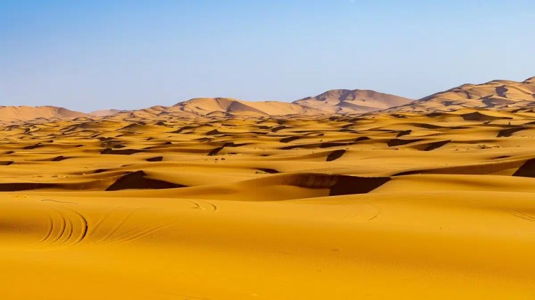 Moroccan desert landscape with sand dunes under a clear blue sky. Birding in Morocco backdrop.