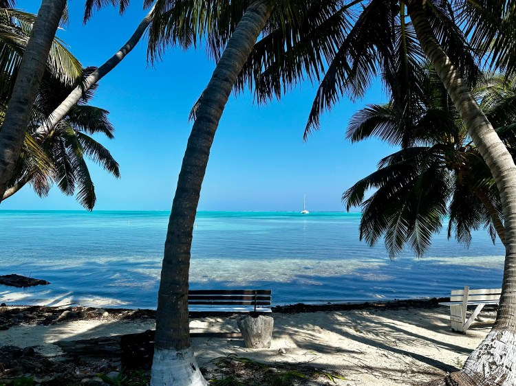 Tropical beach scene with palm trees, turquoise water, and a distant sailboat at Half Moon Caye.