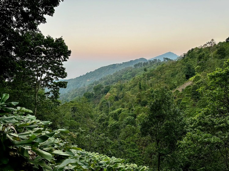 Lush green mountainside view in Guatemala, ideal for birding near Lake Atitlan and Tikal.