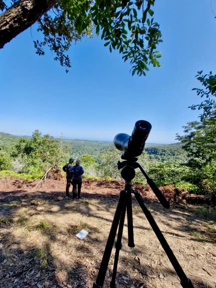 Birding with a spotting scope in Mountain Pine Ridge, Belize overlooking lush forest.