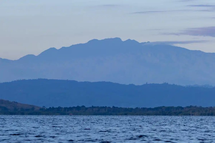 Snow bunting in snow, a highland birding find.