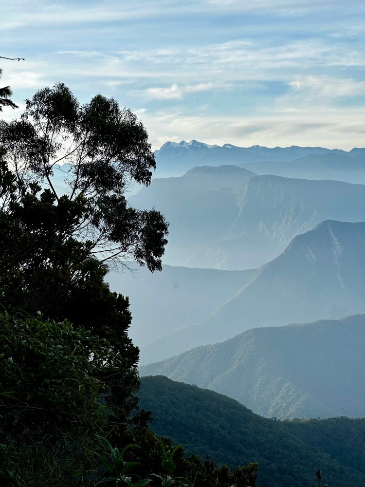 Santa Marta Mountains vista with layers of misty peaks and a silhouetted tree in the foreground.