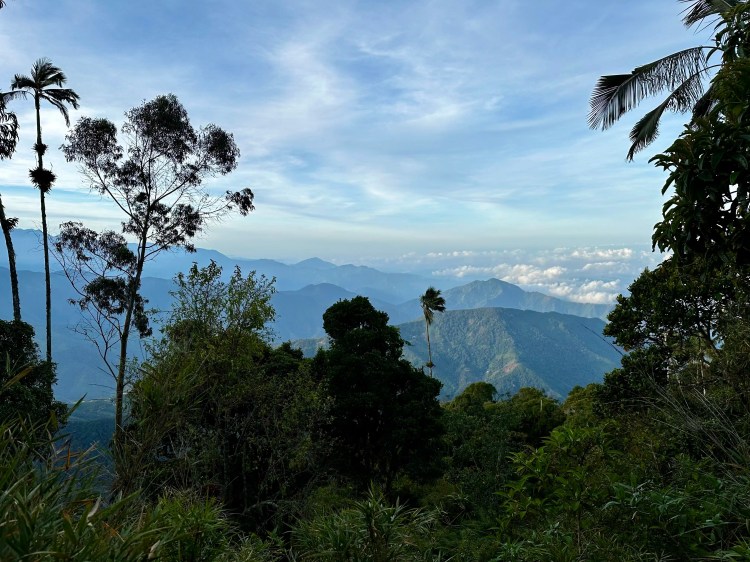 Santa Marta Mountains vista with lush greenery and distant peaks under a partly cloudy sky. Birding paradise.
