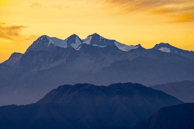 Skylark perched on heather in Sheriffmuir.
