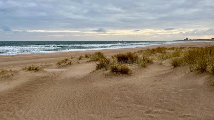 Northumbria beach with sand dunes and sea under a cloudy sky. Birding location.