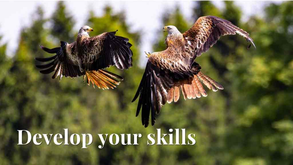 Scotland Wildlife Photography Workshops for Improvers