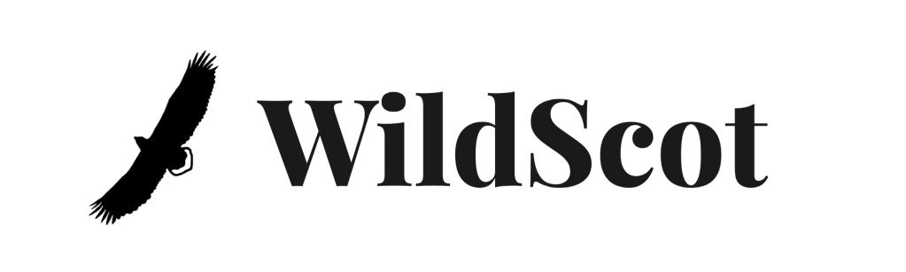 WildScot logo with a silhouette of a bird in flight.